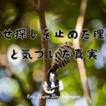 【幸せ探しを止めた理由と気づいた真実】