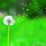 『順風と逆風は絶妙なハーモニー』人生は完璧 非二元 解放